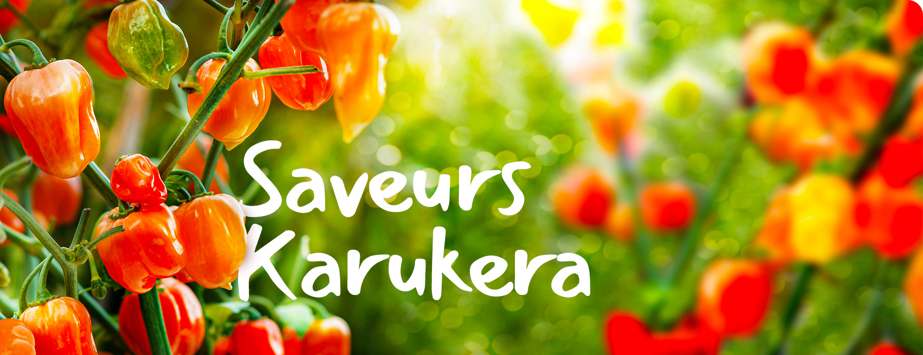 SAVEURS KARUKERA, les piments Guadeloupéens KOMLA